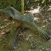 Nous croisons un ours au croisement de chemins