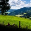 Valle du Bonhomme - Vosges