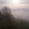 Le brouillard est glacial ce matin