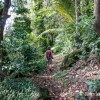 Sentier facile dans la fort de Trois Rivires