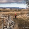 Sentier typique de l'Aubrac
