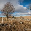 Sur le sentier du tour du lac des Salhiens