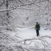 Balade dans la neige en Aubrac