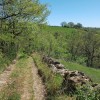 Sur le chemin qui longe le prs