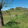 Sur le chemin qui monte  la ferme