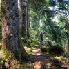 Sentier en la cascade et Laguiole