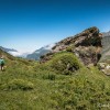 Sentier facile sur le plateau