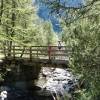 le torrent du Crvoux