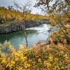 Couleurs d'automne  Abisko