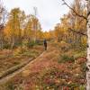 Sur le sentier depuis Nikkaluokta