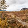 Sentier en bois pour traverser les zones humides