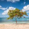Plage de Guadeloupe