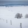 Paysage dsertique de l'Aubrac sous la neihe