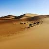 Voyage désert Maroc