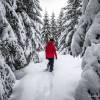 Paysage fantastique avec beaucoup de neige
