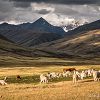 Superbe panorama sur les montagnes en arrire plan