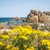 Belles couleurs sur le littoral de Bretagne