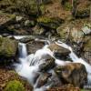 Plusieurs cascades dans le bois du Bu