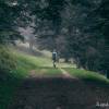 Pas beaucoup de monde sur le sentier