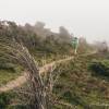 Aprs la piste, le sentier