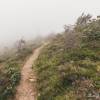 Sentier trs esthtique dans le brouillad