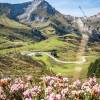 Fleurs et col du Soulor