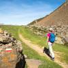 Sentier sur le GR