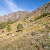 Dbut de la monte