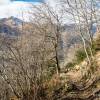 Large sentier pour monter dans la fort