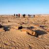 Randonne dans le dsert de Mauritanie