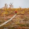 Randonne dans le parc d'Abisko en Sude