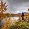 Couleurs d'automne au lac Vuolip Njhkajavri en Sude