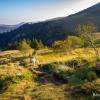 Le soleil se lve sur les crtes du Sancy