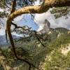 Mont Aiguille depuis les environs du col de Papavet