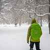 Randonne sur Aubrac en hiver