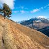 Un arbre tout seul au milieu de la montagne