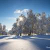 Balade aprs les fortes chutes de neige sur Aubrac