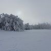 Sortie en raquettes  neige prs de Laguiole 
