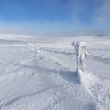 Passage de fils barbels en raquettes  neige