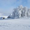 Buron isol sur le plateau de l'Aubrac 