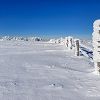 La draille de Germaine longe des clotures prises dans le gel et la neige