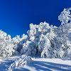 Petite pause durant ma sortie en raquettes  neige dans le Massif Central