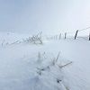 Raquettes  neige dans le PNR Aubrac en direction du Puech Cremat Bas