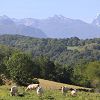 Aux environs de Rbnacq