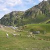 La(ma) Mongie Tourmalet