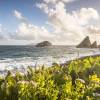 Balade au bord de la mer en Guadeloupe