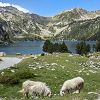 Lac d'Aubert