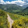 Non loin du lac d'Estaens