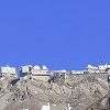 Zoom sur le Pic du midi de Bigorre