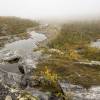 Brouillard en Laponie